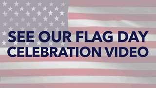 FlagVideo2 320