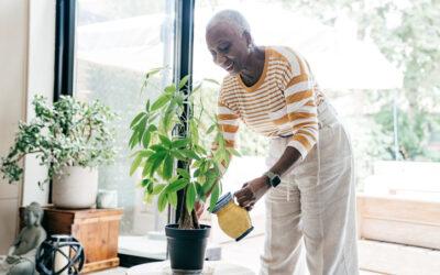 7 Ways Seniors Can Beat The Winter Blues